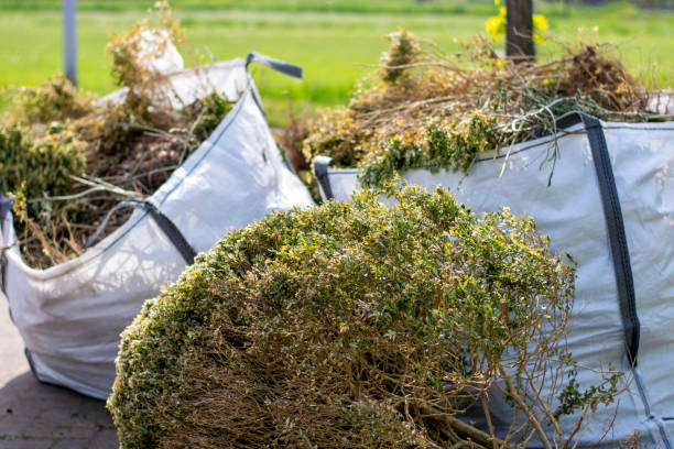 Best Demolition Debris Removal  in Dillsboro, IN