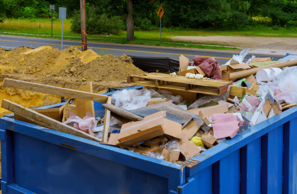 Best Hoarding Cleanup  in Dillsboro, IN